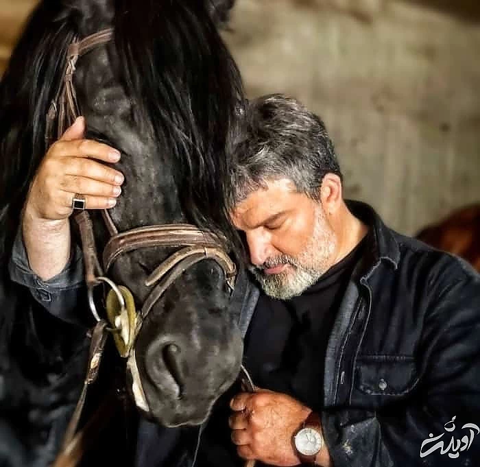 مهدی سلطانی در سریال آمستردام مهدی سلطانی